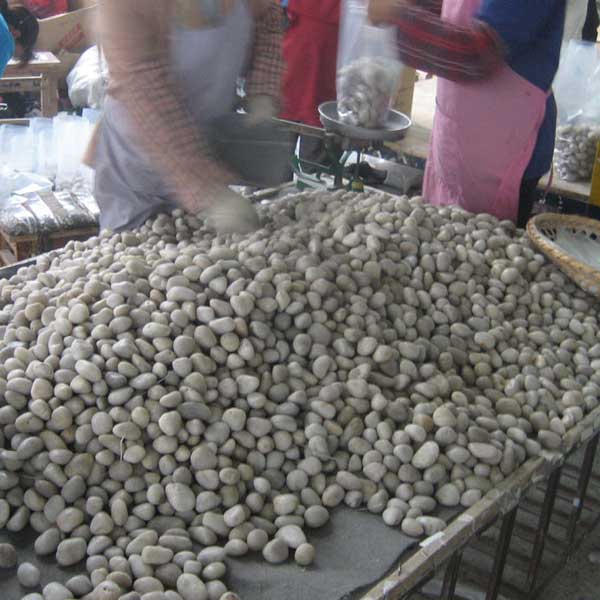 white round pebble stone