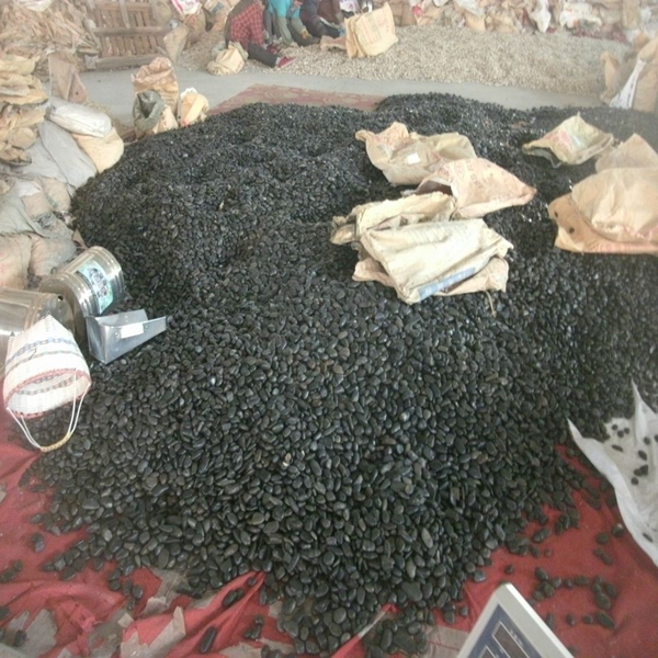 black polished pebbles