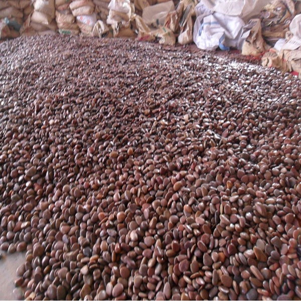 Decorative red pebble stone